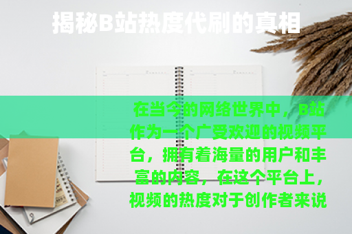 揭秘B站热度代刷的真相