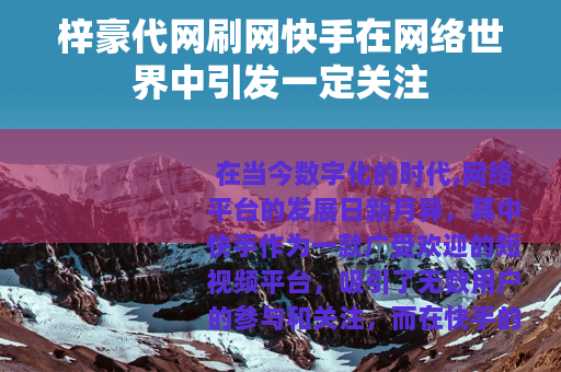 梓豪代网刷网快手在网络世界中引发一定关注