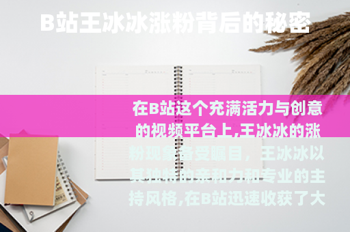 B站王冰冰涨粉背后的秘密
