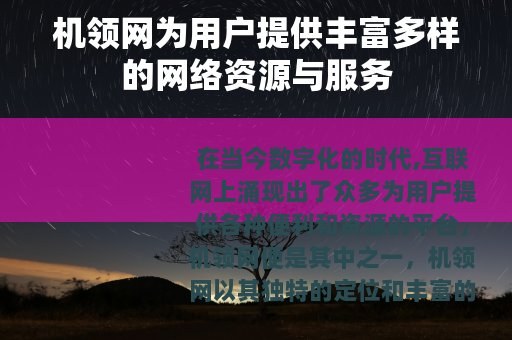 机领网为用户提供丰富多样的网络资源与服务
