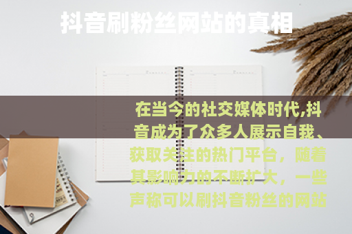 抖音刷粉丝网站的真相