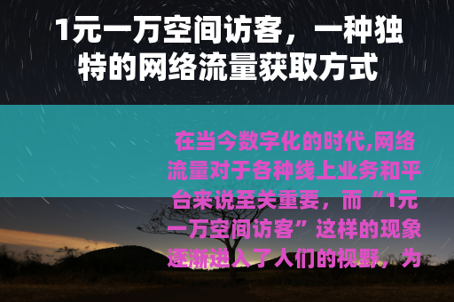 1元一万空间访客，一种独特的网络流量获取方式