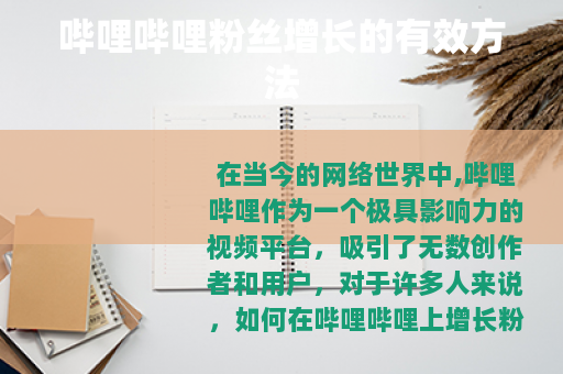 哔哩哔哩粉丝增长的有效方法