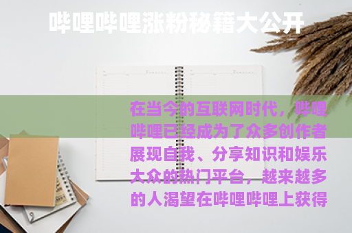 哔哩哔哩涨粉秘籍大公开