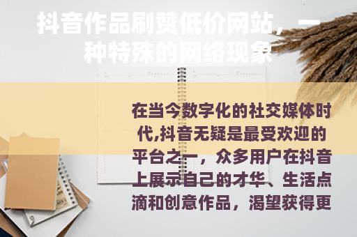 抖音作品刷赞低价网站，一种特殊的网络现象