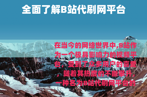 全面了解B站代刷网平台