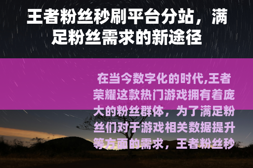 王者粉丝秒刷平台分站，满足粉丝需求的新途径