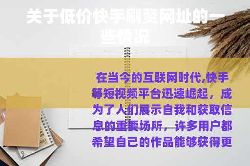 关于低价快手刷赞网址的一些情况