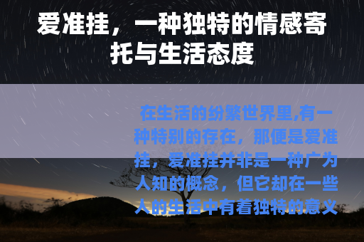 爱准挂，一种独特的情感寄托与生活态度