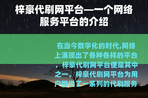 梓豪代刷网平台—一个网络服务平台的介绍