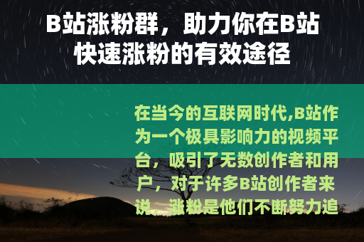 B站涨粉群，助力你在B站快速涨粉的有效途径