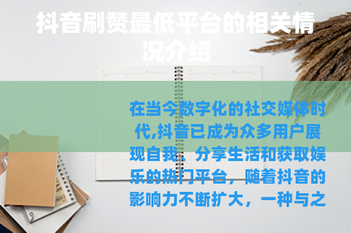 抖音刷赞最低平台的相关情况介绍