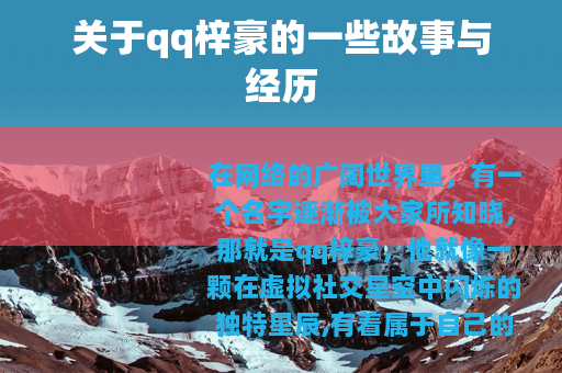关于qq梓豪的一些故事与经历