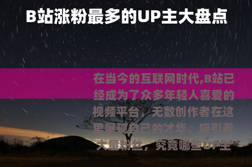 B站涨粉最多的UP主大盘点