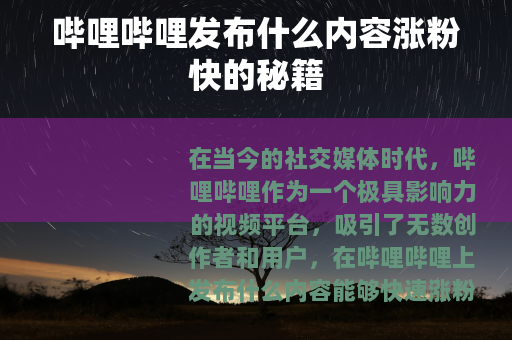 哔哩哔哩发布什么内容涨粉快的秘籍