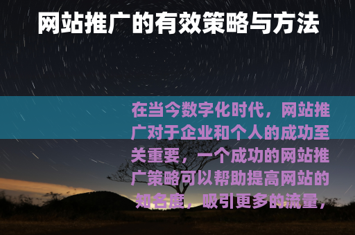 网站推广的有效策略与方法