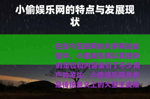 小偷娱乐网的特点与发展现状