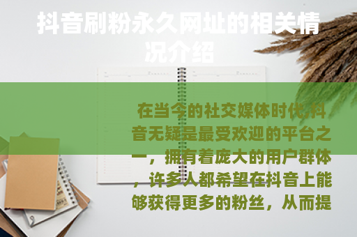 抖音刷粉永久网址的相关情况介绍