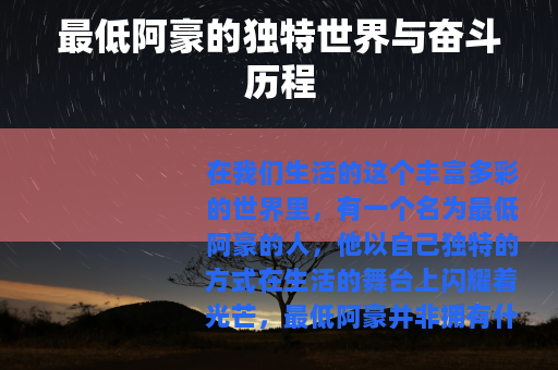 最低阿豪的独特世界与奋斗历程