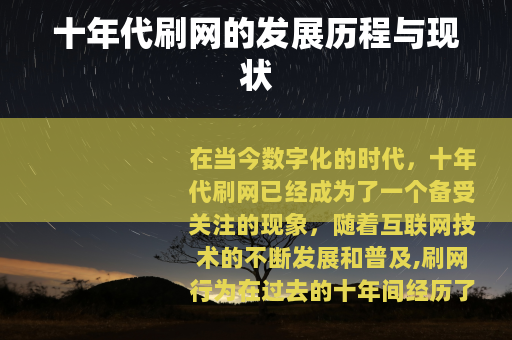 十年代刷网的发展历程与现状