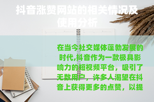 抖音涨赞网站的相关情况及使用分析
