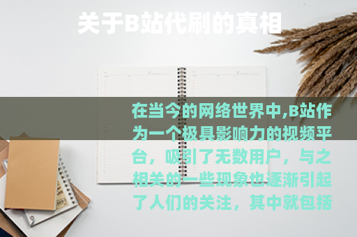关于B站代刷的真相