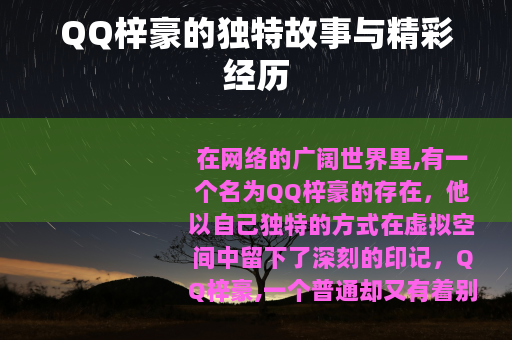 QQ梓豪的独特故事与精彩经历