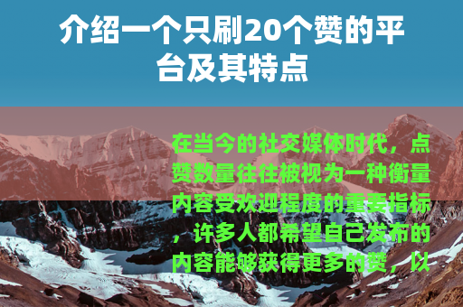 介绍一个只刷20个赞的平台及其特点