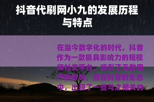 抖音代刷网小九的发展历程与特点