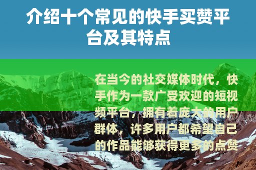 介绍十个常见的快手买赞平台及其特点