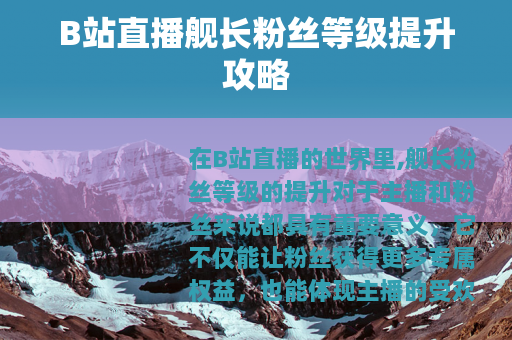 B站直播舰长粉丝等级提升攻略