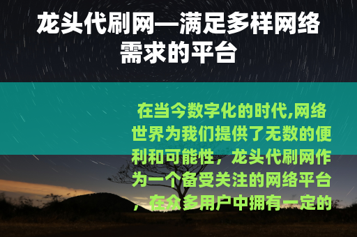 龙头代刷网—满足多样网络需求的平台