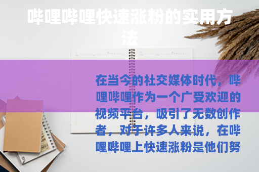 哔哩哔哩快速涨粉的实用方法