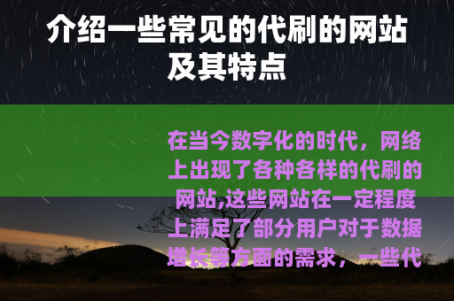 介绍一些常见的代刷的网站及其特点