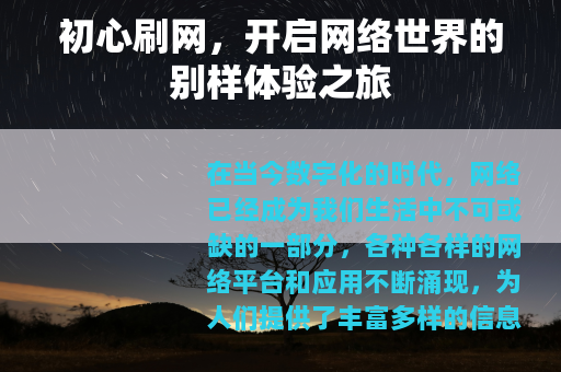 初心刷网，开启网络世界的别样体验之旅