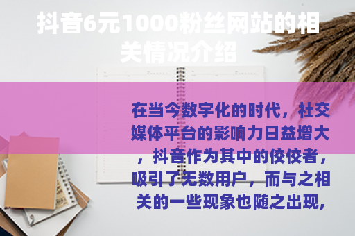 抖音6元1000粉丝网站的相关情况介绍
