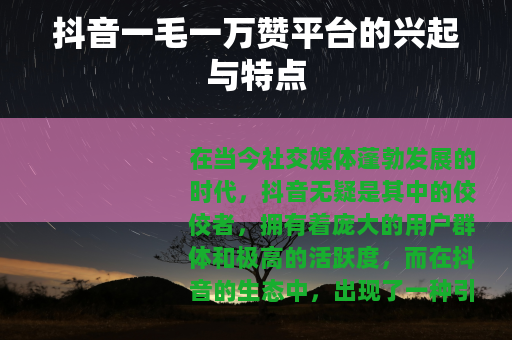 抖音一毛一万赞平台的兴起与特点