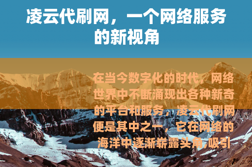 凌云代刷网，一个网络服务的新视角