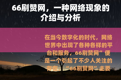 66刷赞网，一种网络现象的介绍与分析