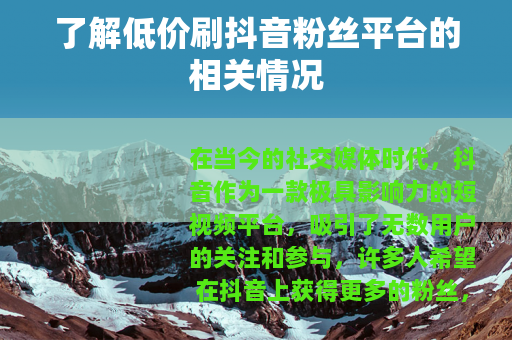 了解低价刷抖音粉丝平台的相关情况