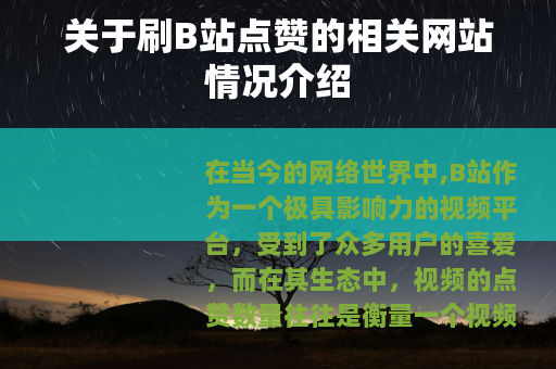 关于刷B站点赞的相关网站情况介绍