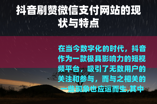 抖音刷赞微信支付网站的现状与特点