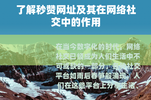 了解秒赞网址及其在网络社交中的作用
