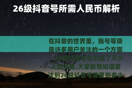 26级抖音号所需人民币解析