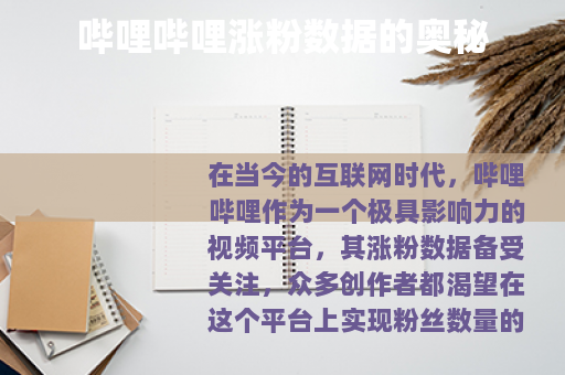 哔哩哔哩涨粉数据的奥秘