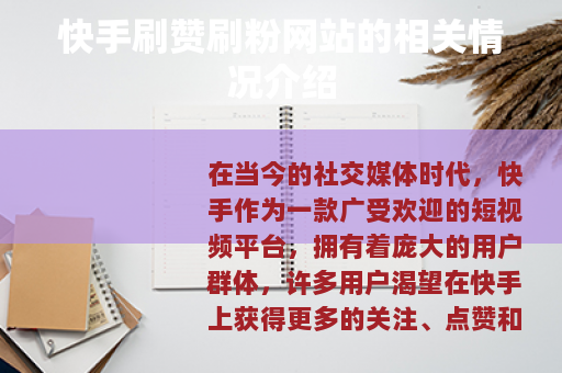 快手刷赞刷粉网站的相关情况介绍