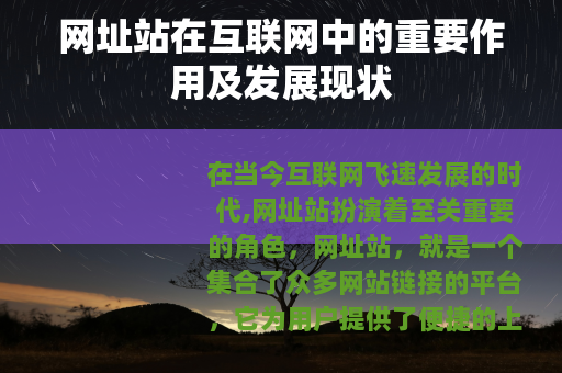 网址站在互联网中的重要作用及发展现状