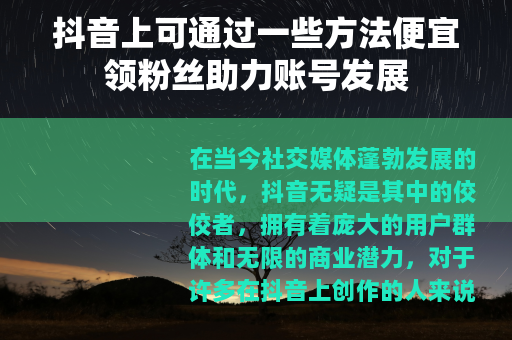 抖音上可通过一些方法便宜领粉丝助力账号发展