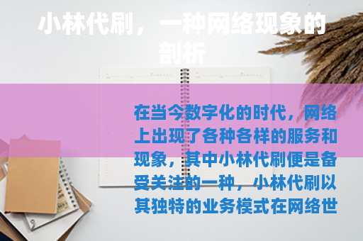 小林代刷，一种网络现象的剖析