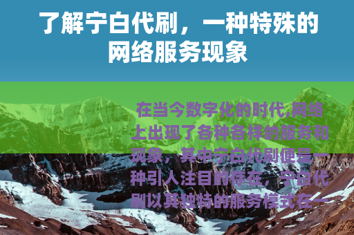 了解宁白代刷，一种特殊的网络服务现象